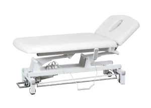 2 Section Adjustable Electric Facial Bed, Physical Therapy Table (White) BAS808