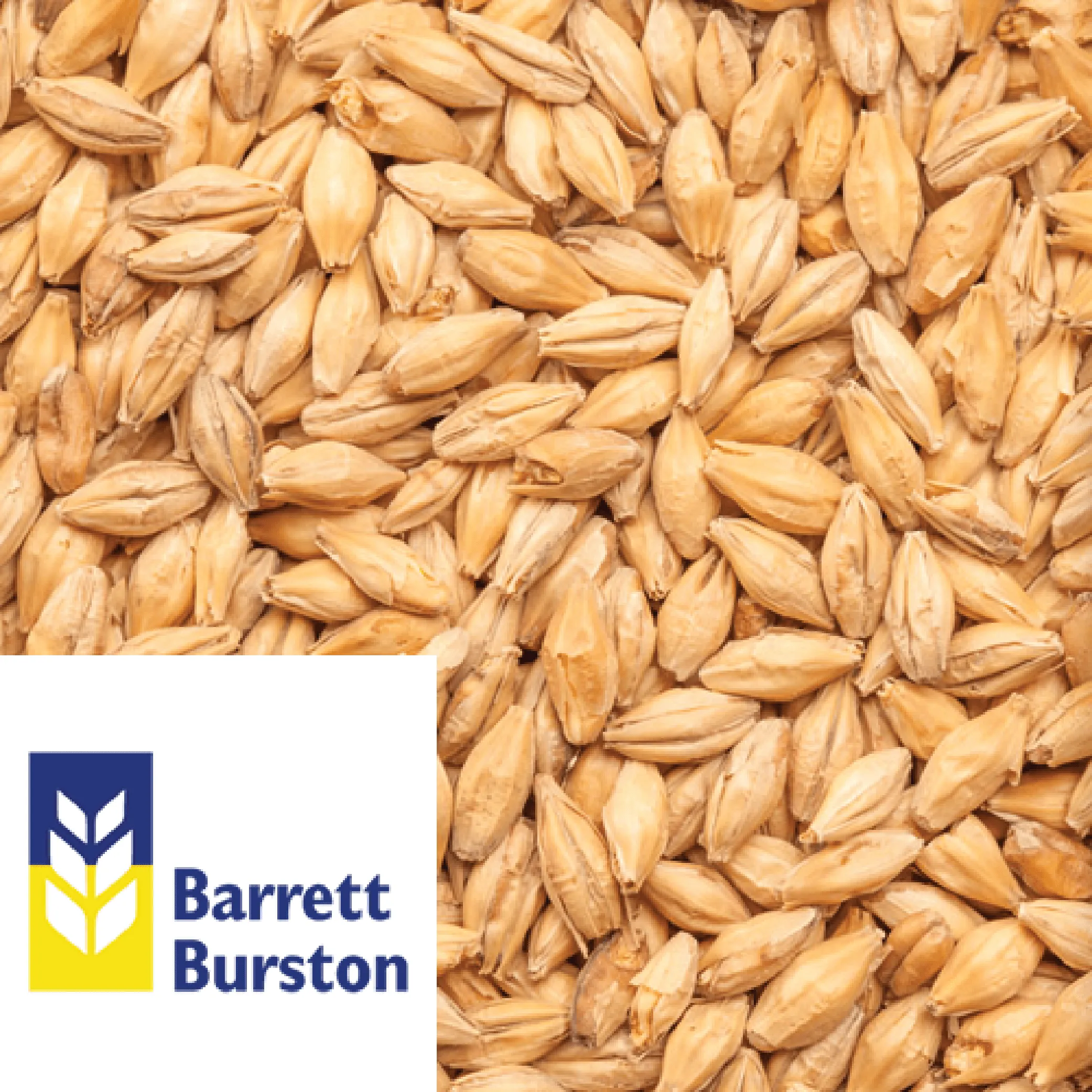 25kg SACK - Ale Malt (Victorian) - Barrett Burston (AUS)