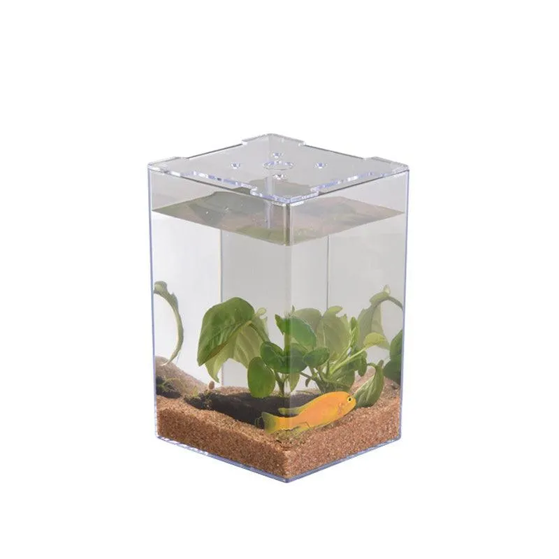 Acrylic Desktop Fish Tank