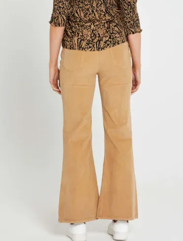 Sass Sarah Cord High Waisted Pants