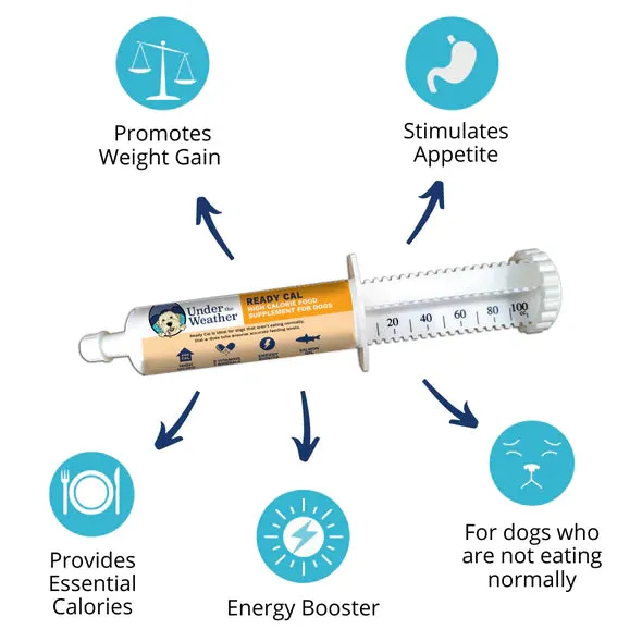 Under the Weather Ready Cal Supplement for Dogs 100cc tube